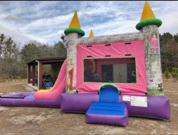 Single Lane Princess Bouncer Slide Combo with Pool