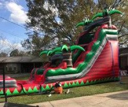 22' Ruby Falls Water Slide with Pool