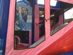 Frozen Bouncer Slide combo wet w/ splash pad