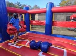 Gladiator Boxing Arena