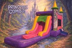 Single lane Princess Bouncer Slide combo wet w/pool